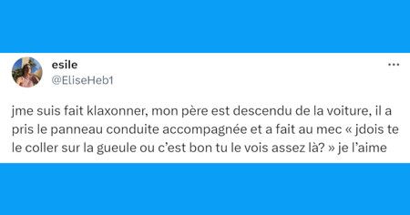 Top 20 des tweets les plus drôles sur le klaxon, tout le monde en abuse