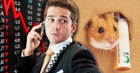 Cryptomonnaie : ce hamster rend fou les traders du monde entier avec ses prédictions