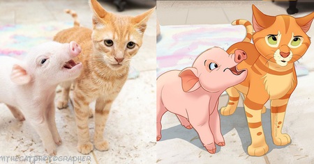 Cette artiste redessine les animaux des internautes dans le style Disney (partie 2)