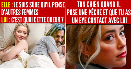 Procès Johnny Depp : top 14 des meilleurs memes sur Hitek et Trolls de Geek