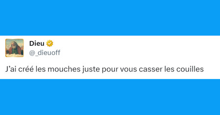 Top 20 des tweets les plus drôles sur les mouches, pires que les moustiques