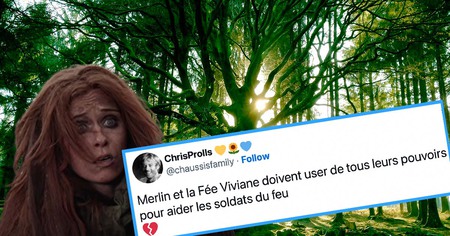 Brocéliande : un incendie ravage la mythique forêt du roi Arthur, les internautes sont émus aux larmes (20 tweets)