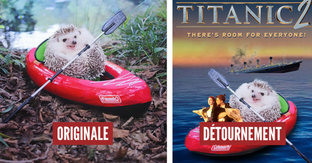 Photoshop Battle : ce hérisson en mini kayak déchaîne les internautes