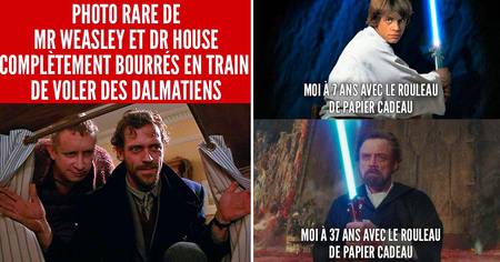 Top 50 des meilleurs memes de Trolls de Geek en décembre 2020