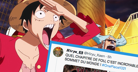 One Piece #1021 : nouvelle forme pour ce personnage culte, les internautes se déchainent (22 tweets)