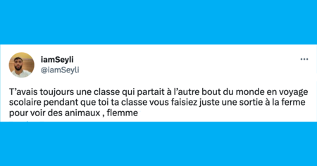 Top 20 des tweets les plus drôles (et mignons) sur les animaux, on ne peut pas se passer d'eux