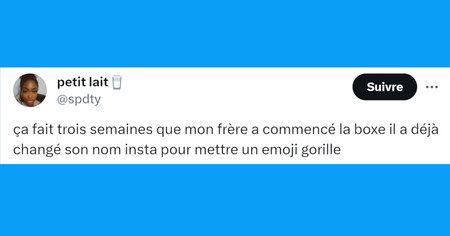 Top 20 des tweets les plus drôles sur les emojis, des smileys partout