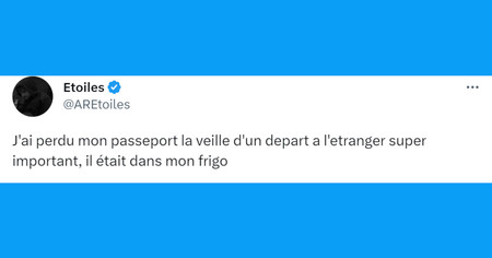 Top 20 des tweets les plus drôles sur le passeport, on vous souhaite un bon voyage