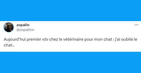 Top 20 des tweets les plus drôles sur les vétos, prenez soin de nos animaux