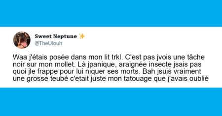 Top 20 des tweets les plus drôles sur les araignées, ces éternelles incomprises