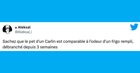 Top 20 des tweets les plus drôles sur les frigos, vive le froid