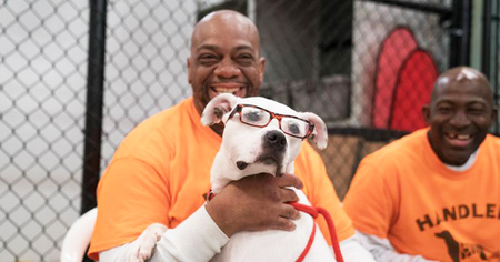 Prison : un détenu s'évade dans une cage pour chien