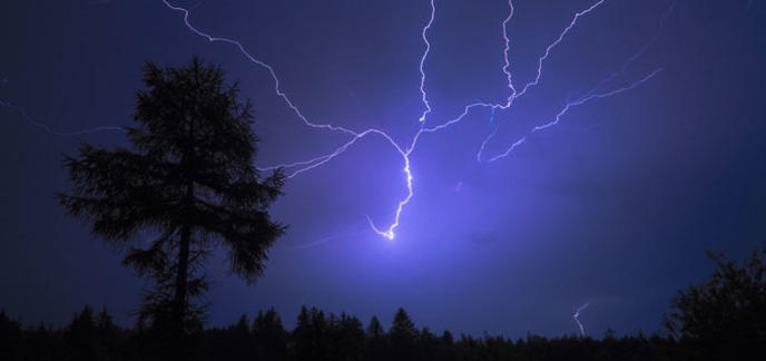 Voilà pourquoi il ne faut pas rester sous un arbre durant un orage