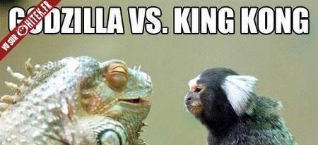 Godzilla VS King Kong plus jeunes