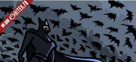 Batman VS chauve-souris