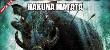 Hakuna Matata Madafaka