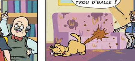 BD : avoir un Pokémon vs avoir un chien