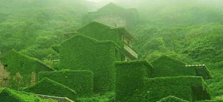 Quand la nature reprend ses droits dans un village chinois