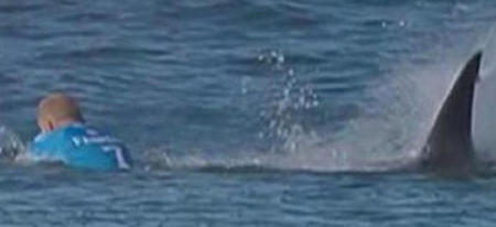 Un surfer a failli être tué par un requin au moment où il était filmé !