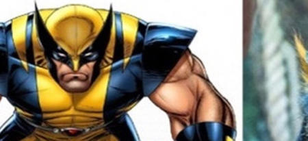 Wolverine est aussi un singe ! 