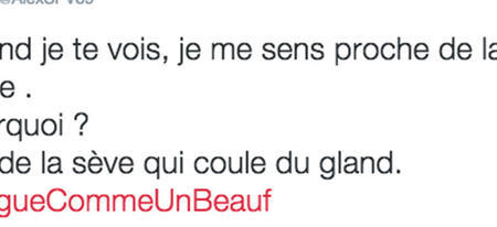 #DragueCommeUnBeauf, le top des pires phrases de drague sur Twitter