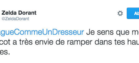 Top 12 des #DragueCommeUnDresseur, le hashtag pour toutes les attraper sur Twitter !