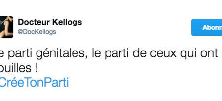 Top des meilleurs tweets sur le hashtag #CréeTonParti, quand Twitter fait de la politique