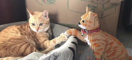 Des chats en LEGO pour ceux qui n'ont pas autant de chats qu'ils le voudraient !