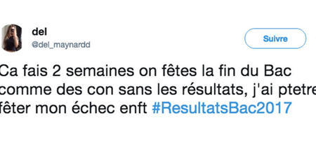 Top 15 des meilleurs tweets sur les résultats du bac 2017 !