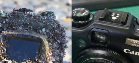 Un appareil photo restitué à sa propriétaire après avoir passé deux ans dans l’océan