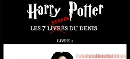 Ce que pense Harry Potter de Severus Rogue dans les 7 tomes de la saga Harry Potter !