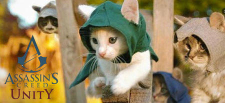 Assassin's Kittens Unity : la meilleure parodie d'Assassin's Creed Unity avec des chatons !