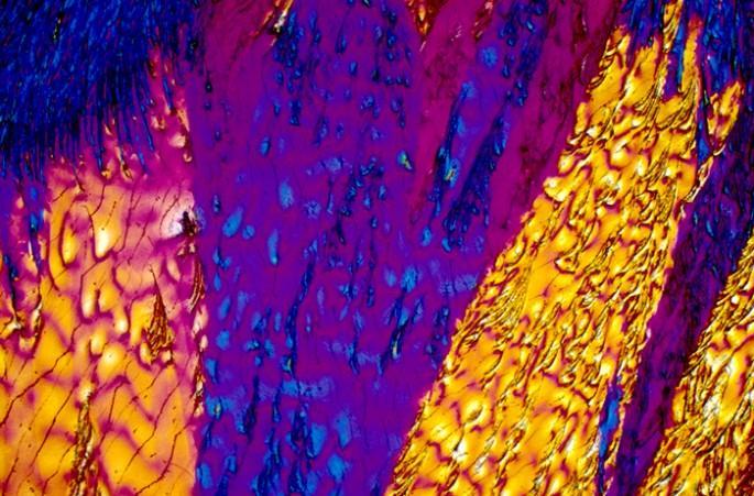 Des alcools passés au microscope révèlent de sublimes couleurs