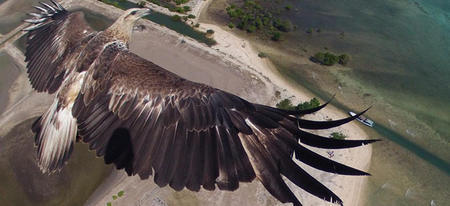 Les plus belles photos prises avec un drone