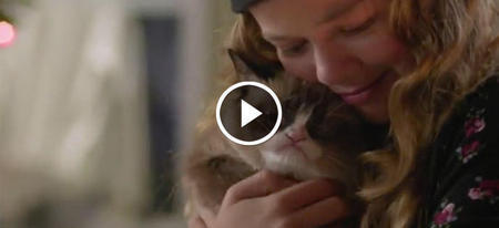 Bande annonce du film avec Grumpy Cat !