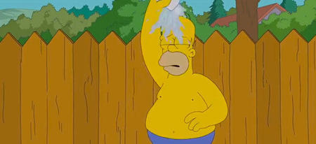 Même Homer Simpson fait le Ice Bucket Challenge