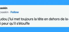 Top 20 des tweets les plus drôles sur les doudous, on vous aime