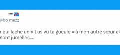 Top 20 des tweets les plus drôles sur les jumeaux et jumelles, il y a comme un air de famille