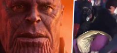 WTF : Thanos violemment attaqué par un groupe d'enfants (vidéo)