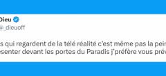 Top 20 des tweets les plus drôles sur la téléréalité, ce fléau de la télévision