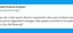 Top 20 des tweets les plus drôles sur les pâtes, le plat des étudiants