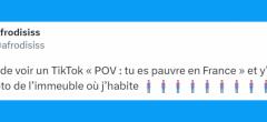 Top 20 des tweets les plus drôles sur TikTok, un autre monde