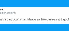 Top 20 des tweets les plus drôles sur les guêpes et les abeilles, bientôt le retour