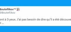 Top 20 des tweets les plus drôles sur l'Australie, le refuge des pires créatures de la planète