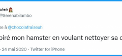 Top 20 des pires confessions recensées sur Twitter, on vous voit