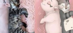 Cette artiste redessinent les animaux des internautes dans le style Disney (75 images)