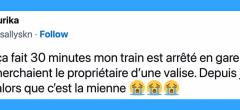 Top 20 des tweets les plus drôles sur les valises, bon voyage