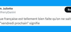 Top 20 des tweets les plus drôles sur la langue française, belle mais complexe