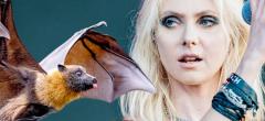 Taylor Momsen se fait attaquer par une chauve-souris en plein concert (vidéo)