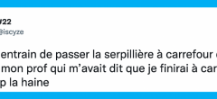 Top 20 des tweets les plus drôles sur les profs, de sacrés phénomènes